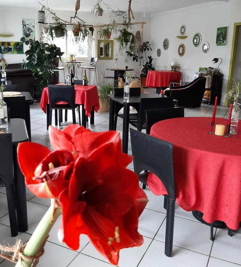 Hotel Restaurant La Gentilhommiere Trèbes Extérieur photo